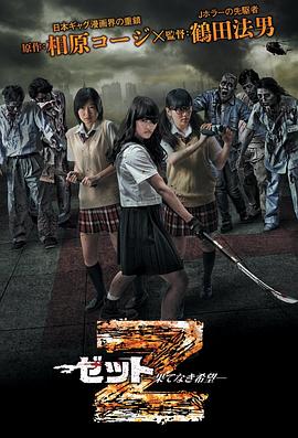 Z：无尽的希望海报